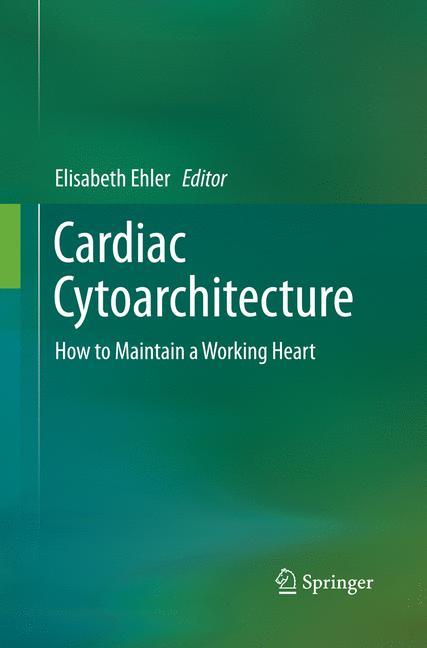 Cardiac Cytoarchitecture