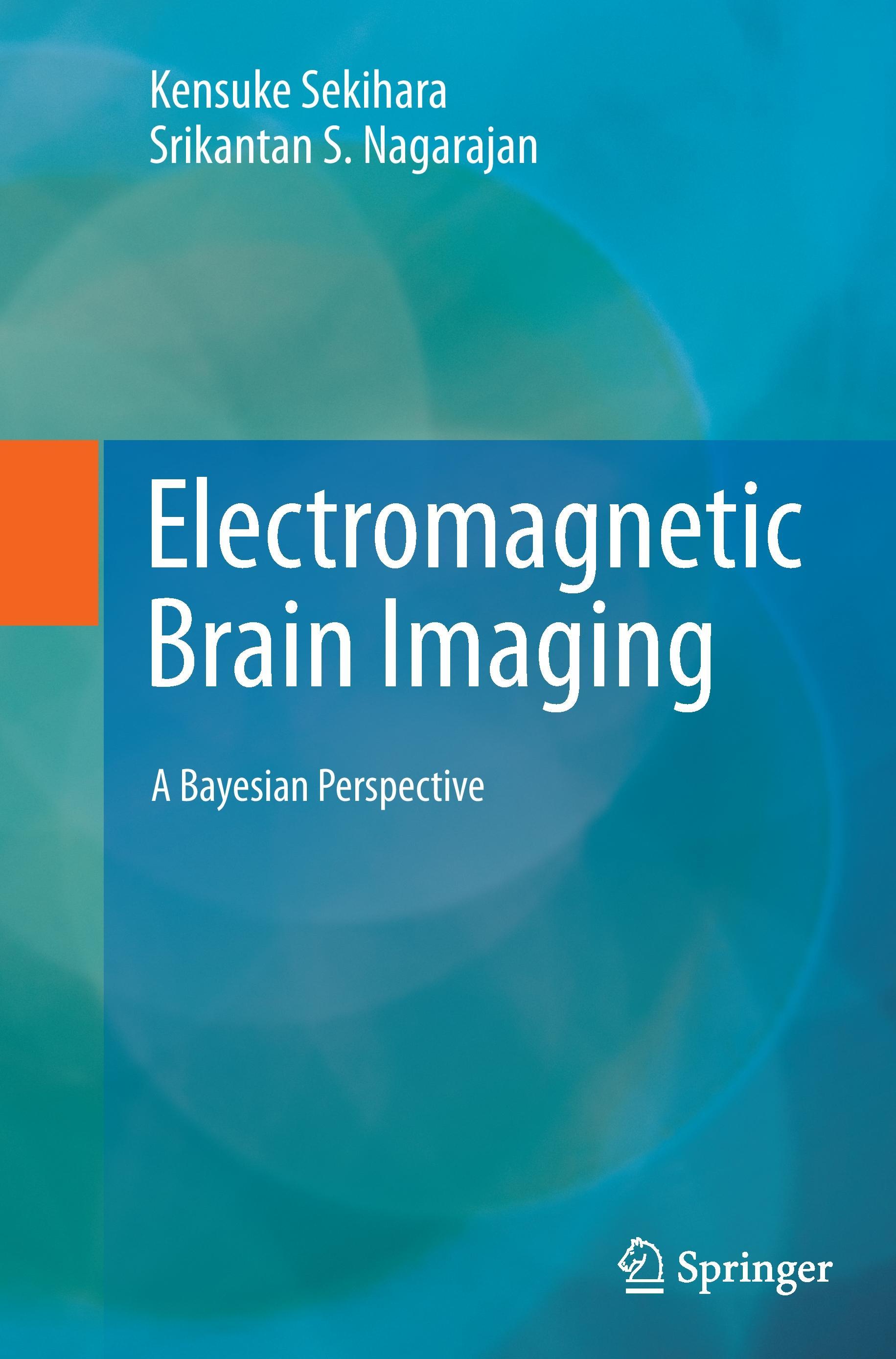 Electromagnetic Brain Imaging