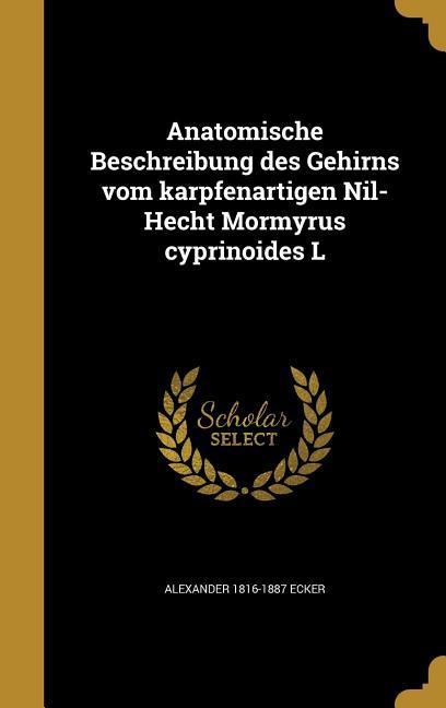 Anatomische Beschreibung des Gehirns vom karpfenartigen Nil-Hecht Mormyrus cyprinoides L