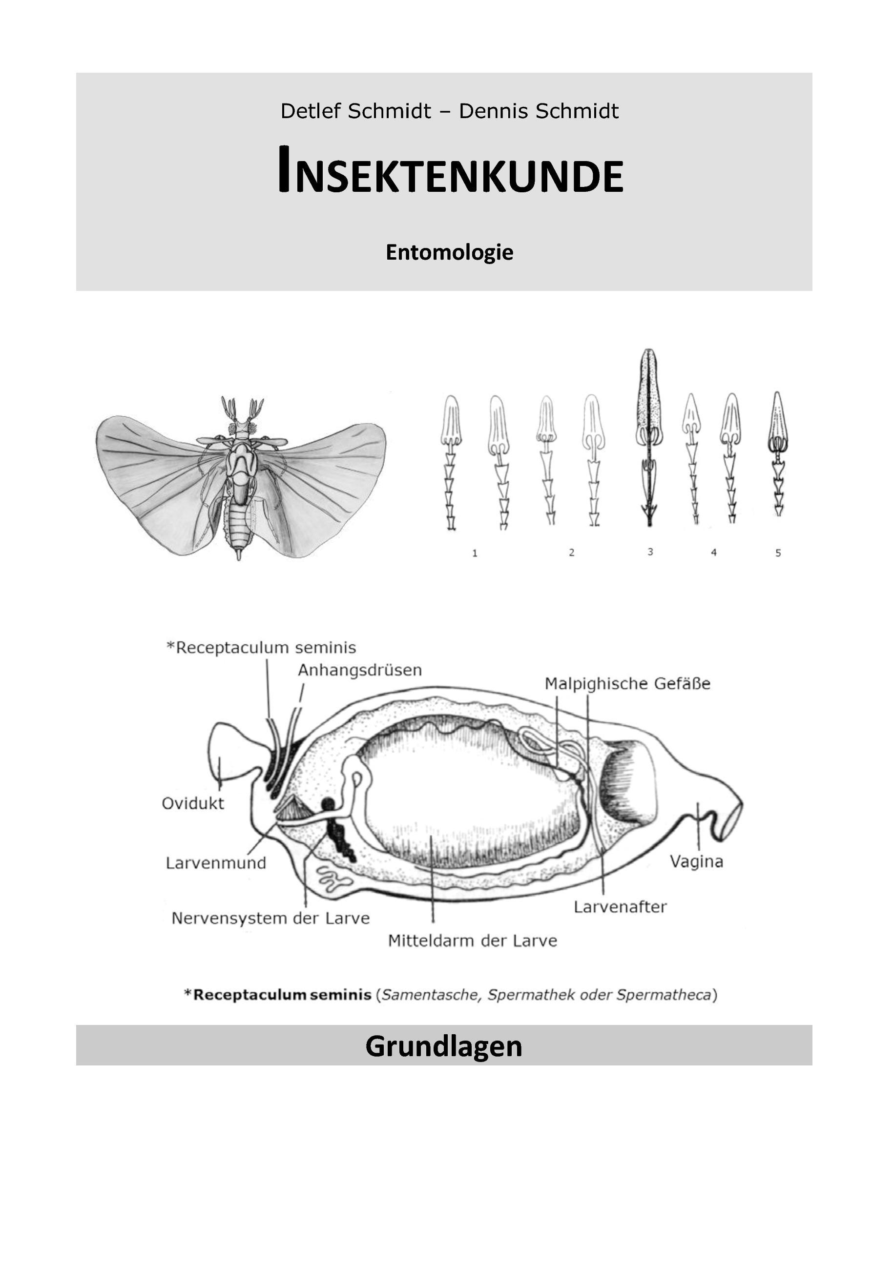 Insektenkunde