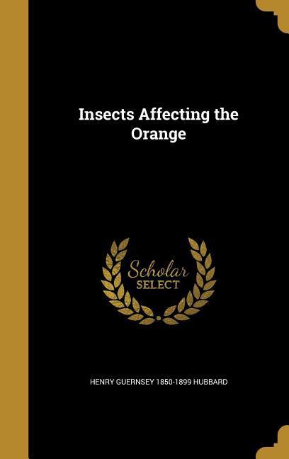 Insects Affecting the Orange