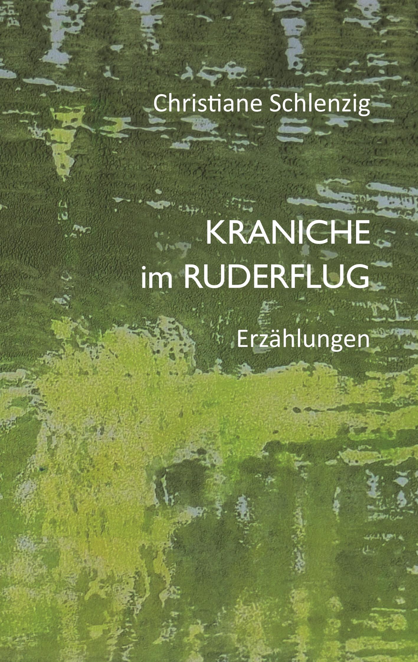 Kraniche im Ruderflug