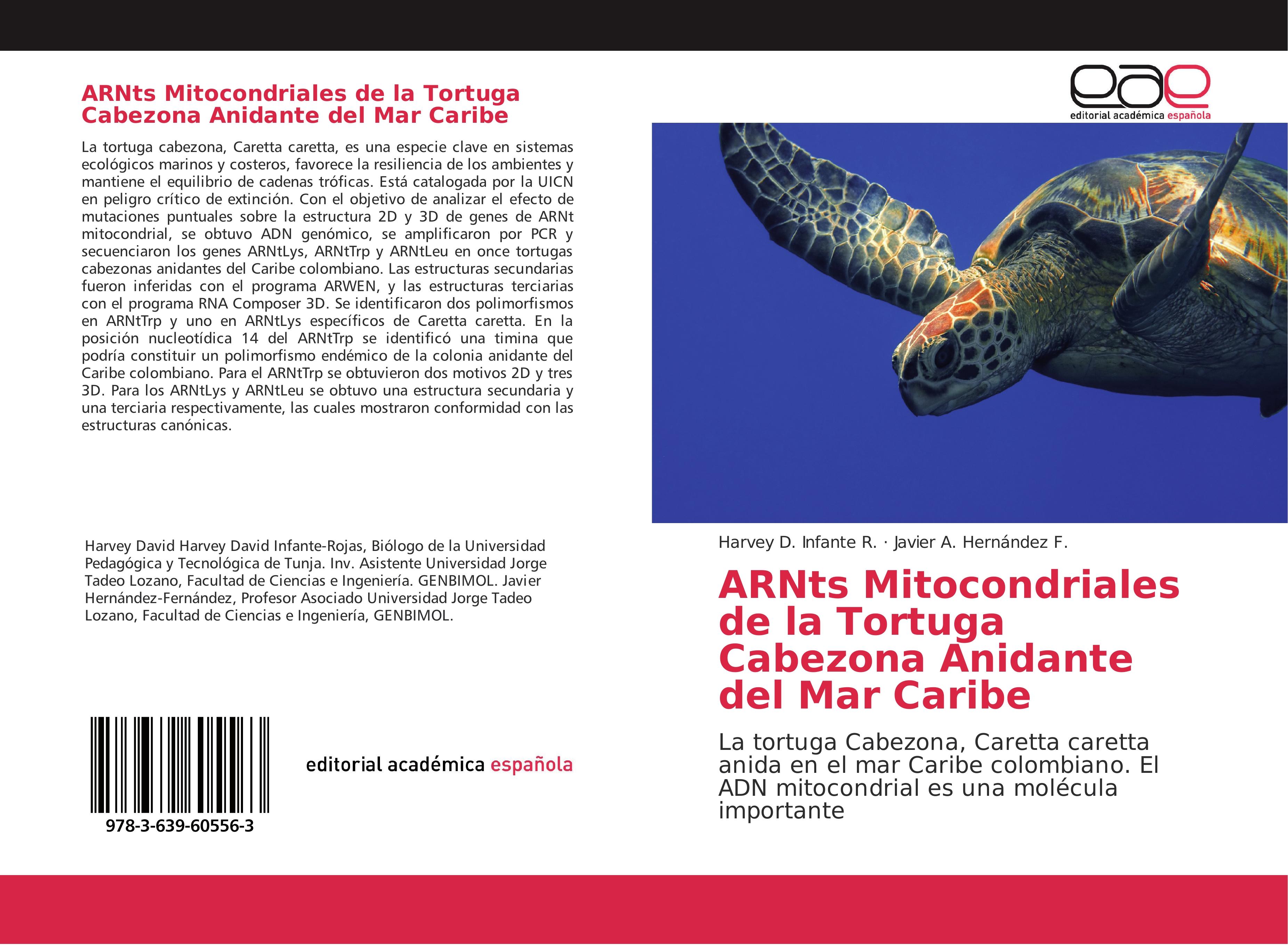 ARNts Mitocondriales de la Tortuga Cabezona Anidante del Mar Caribe