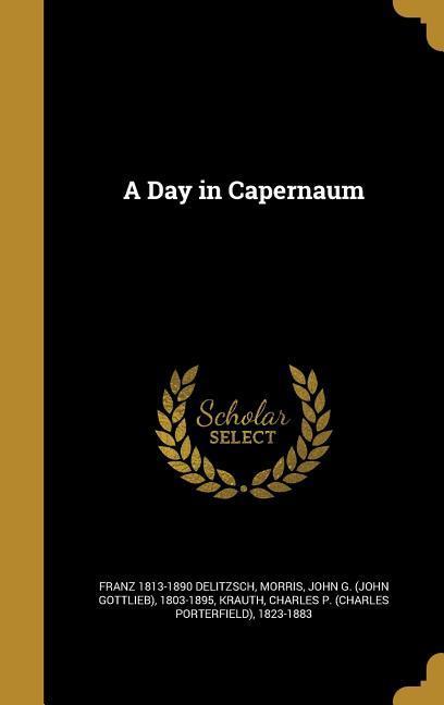 A Day in Capernaum