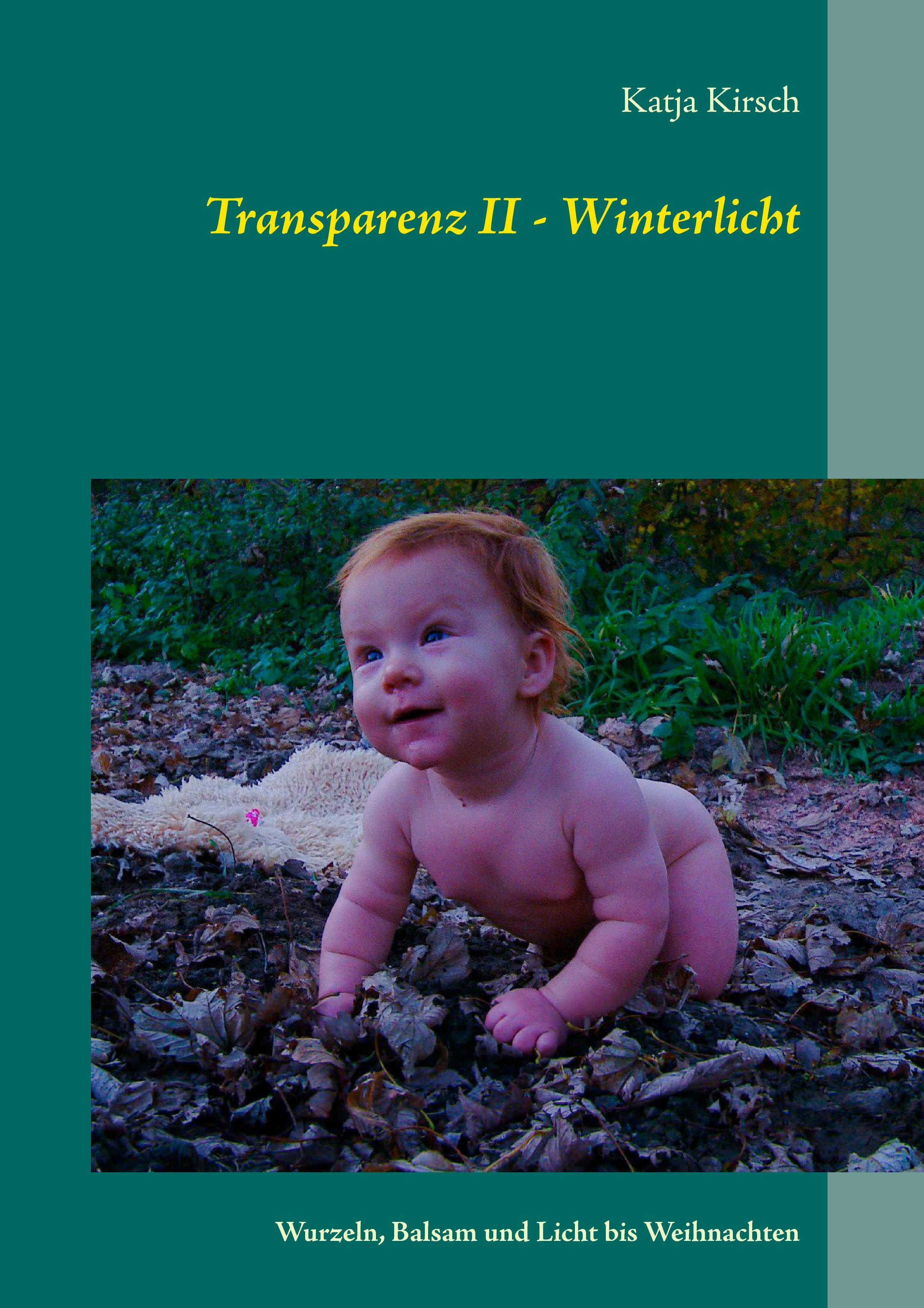 Transparenz II - Winterlicht