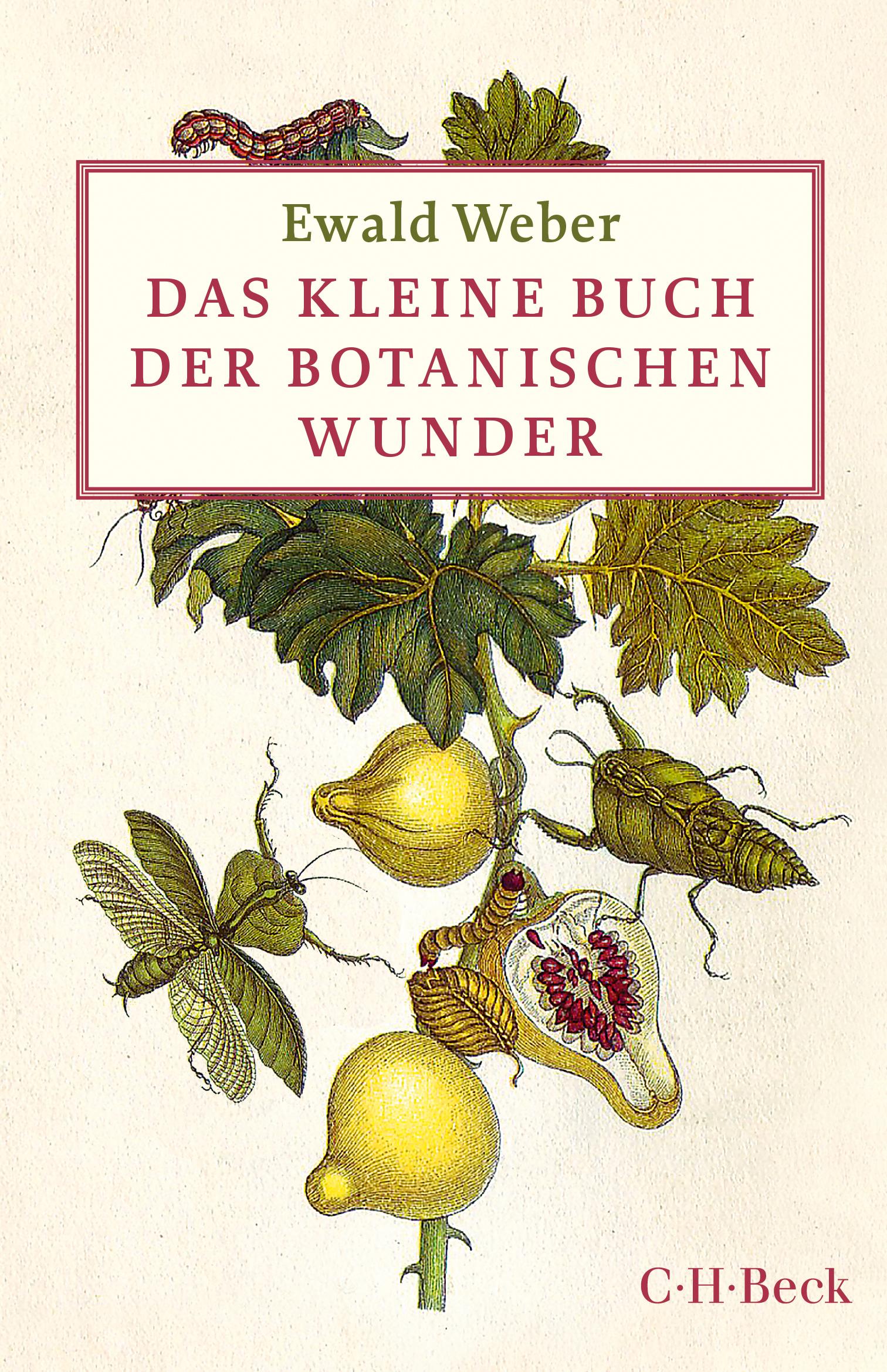 Das kleine Buch der botanischen Wunder