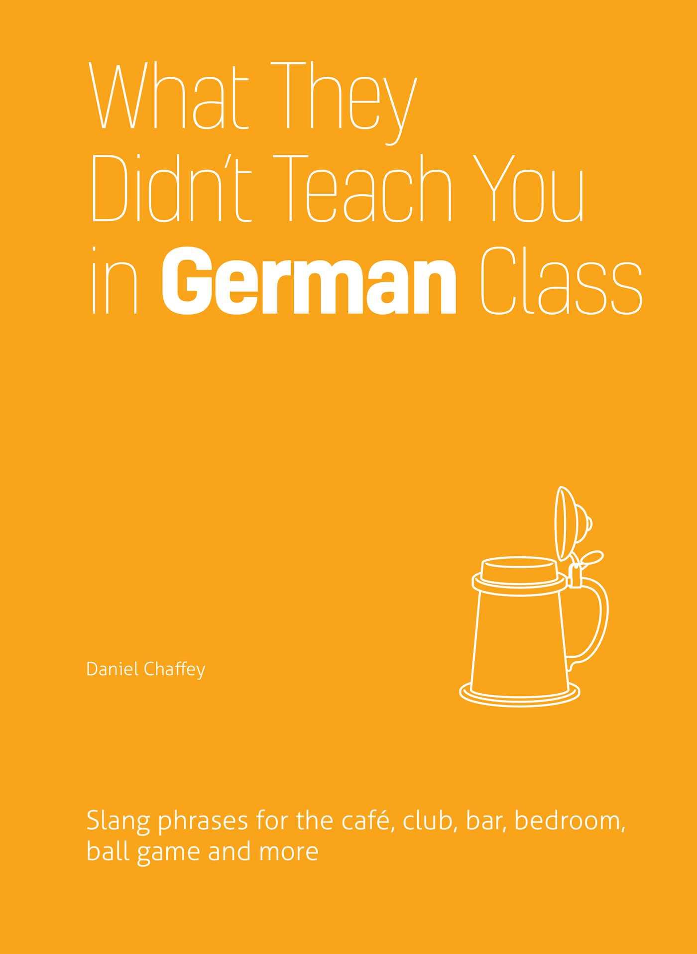 What They Didn't Teach You in German Class: Slang Phrases for the Cafe, Club, Bar, Bedroom, Ball Game and More