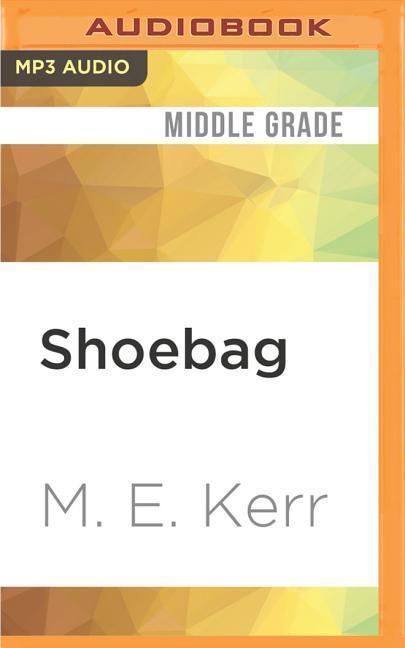 Shoebag