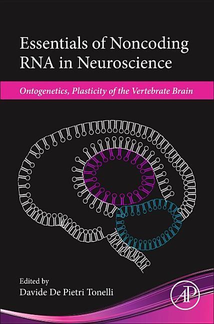 Essentials of Noncoding RNA in Neuroscience