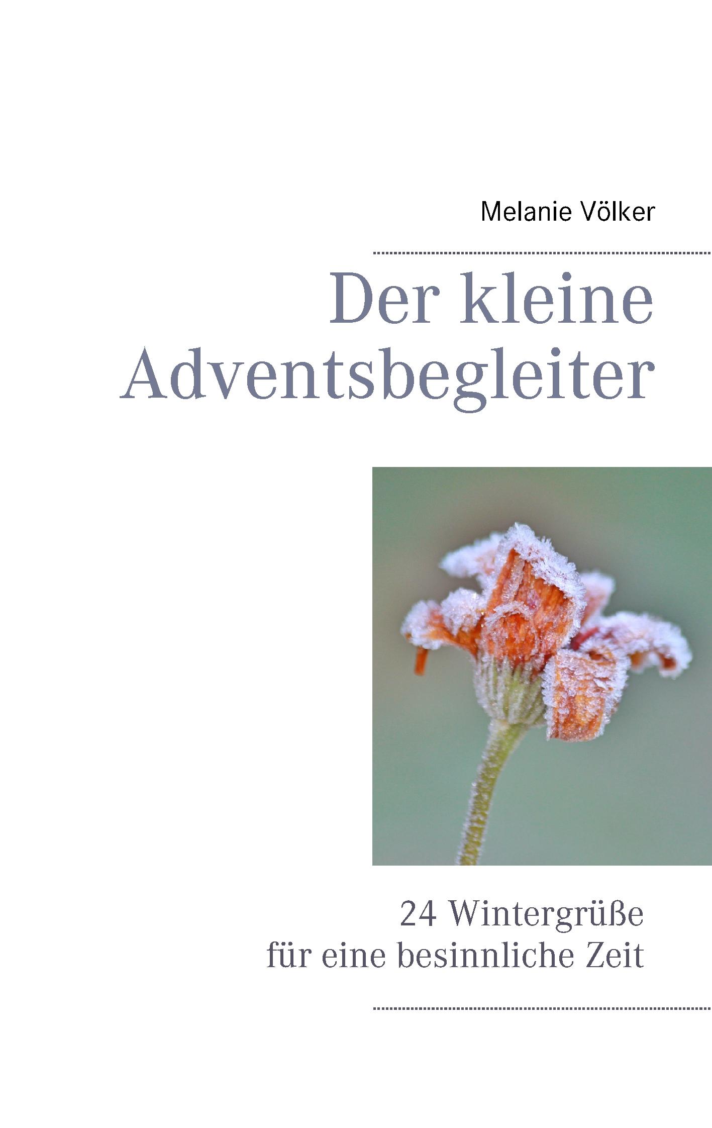 Der kleine Adventsbegleiter