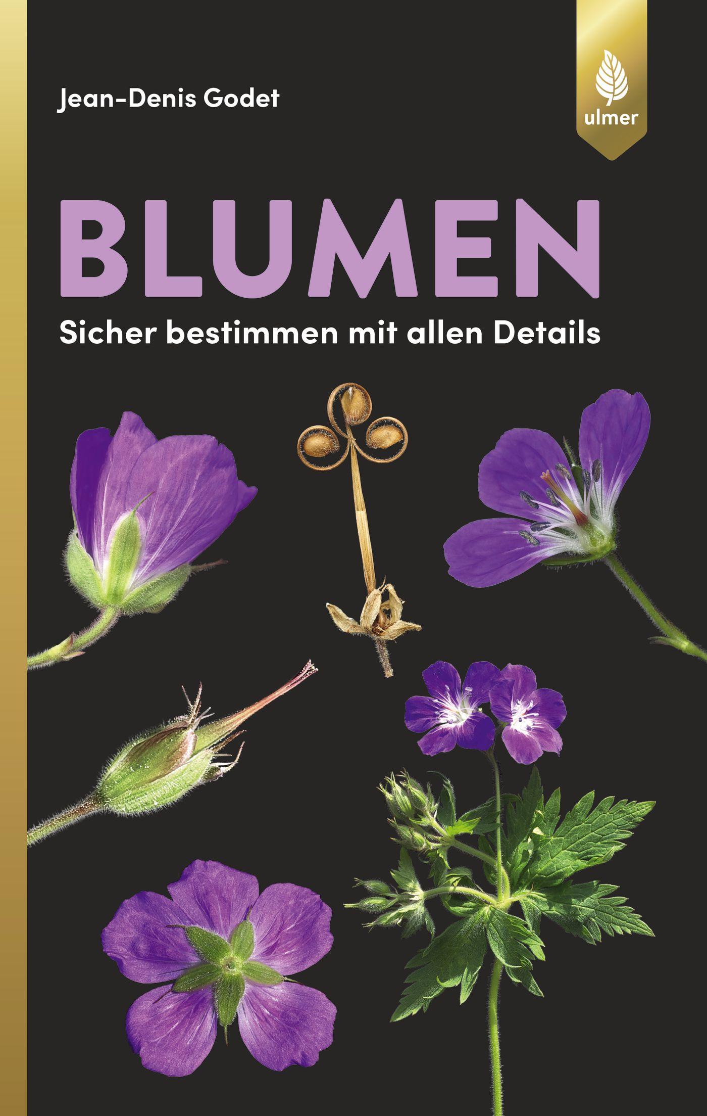 Blumen