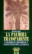 La palmera transparente