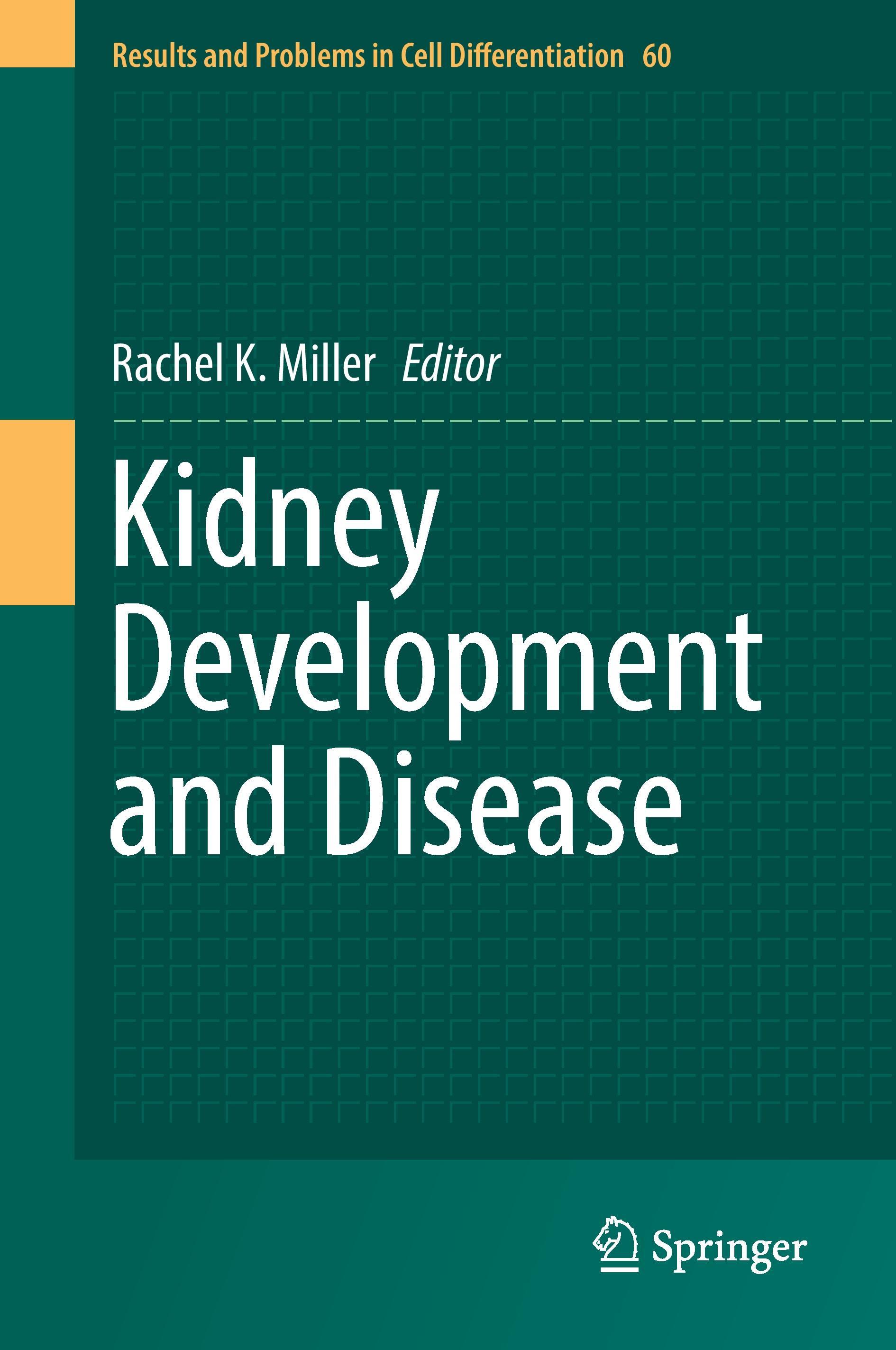 Kidney Development and Disease