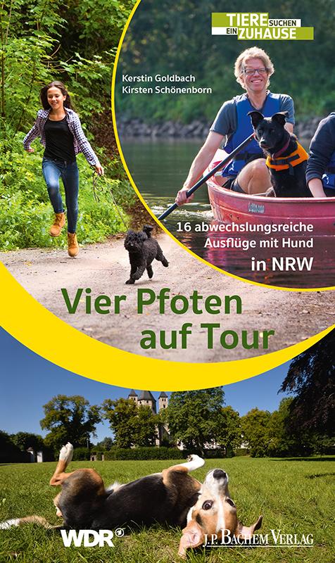 Vier Pfoten auf Tour