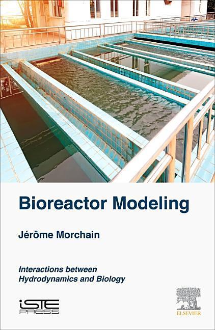 Bioreactor Modeling