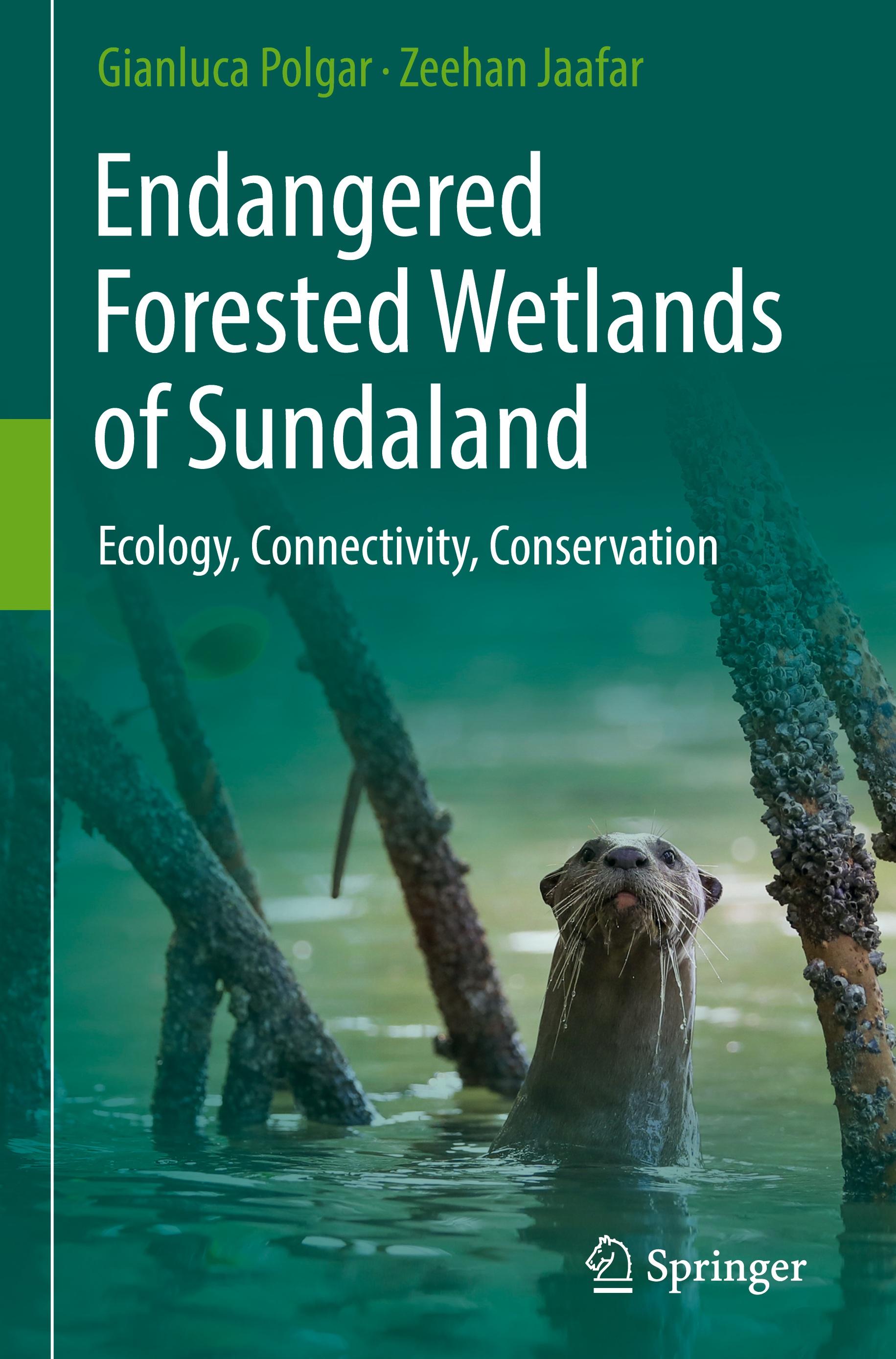 Endangered Forested Wetlands of Sundaland