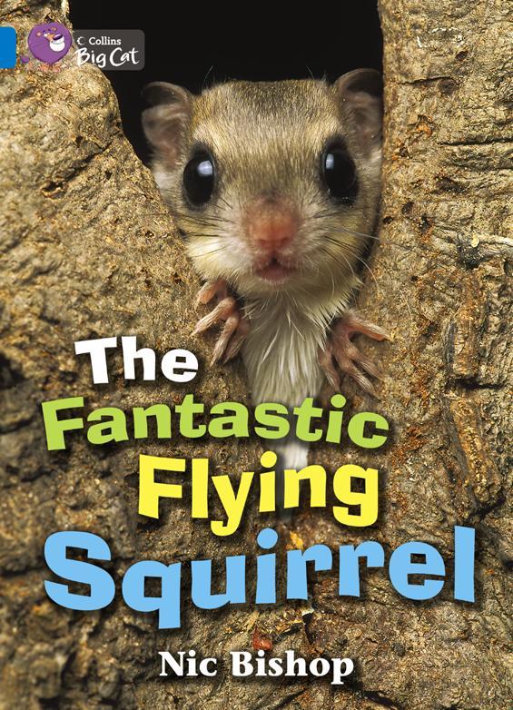 The Fantastic Flying Squirrel Workbook