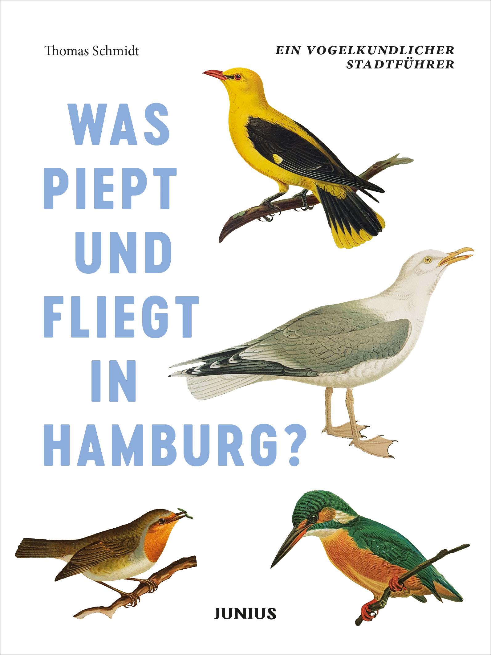 Was piept und fliegt in Hamburg?