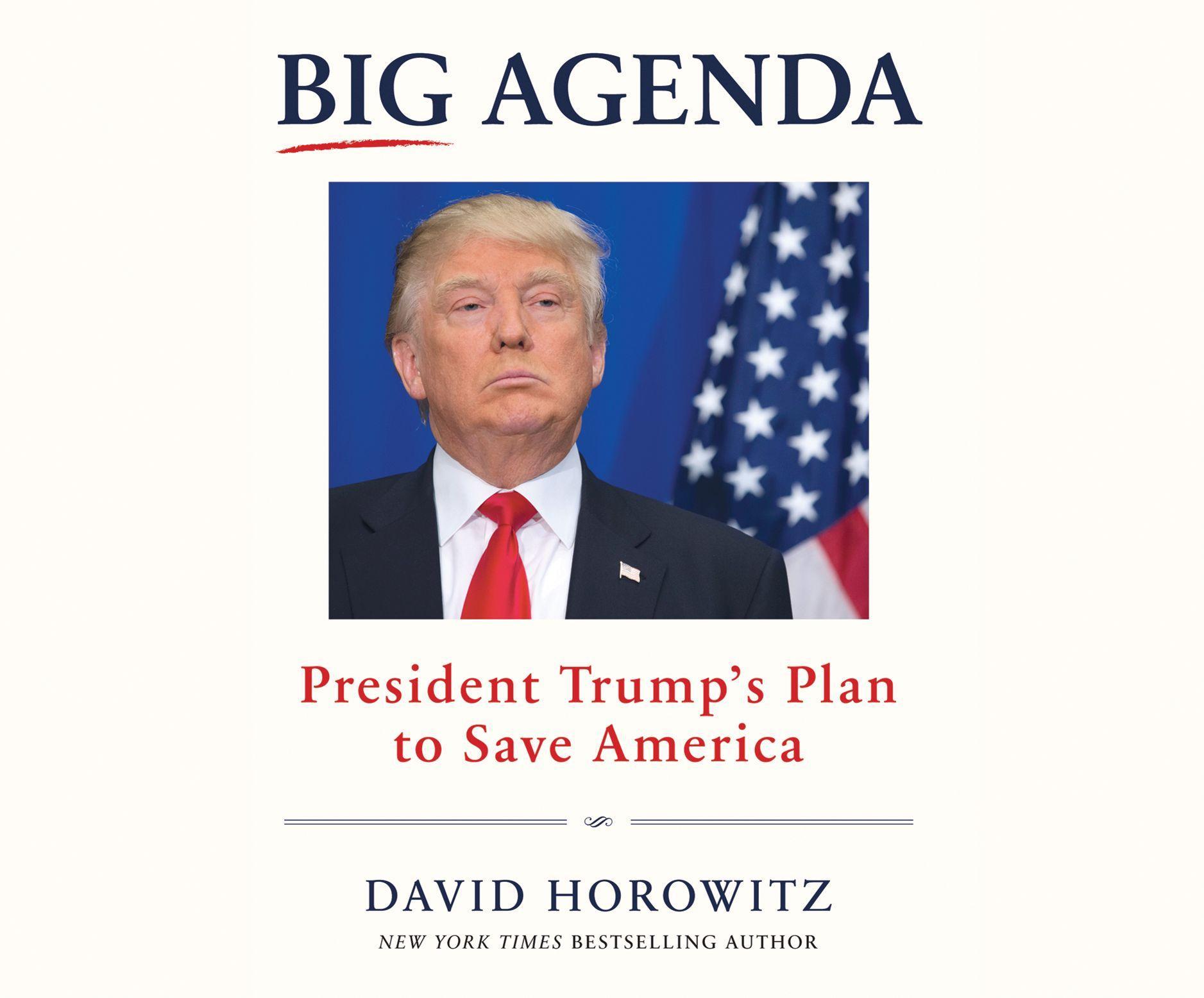 BIG AGENDA                  4D