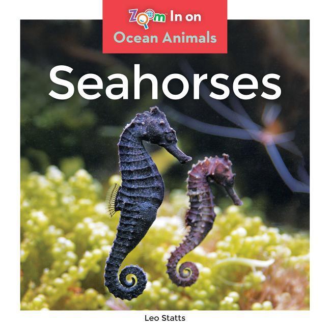 Seahorses