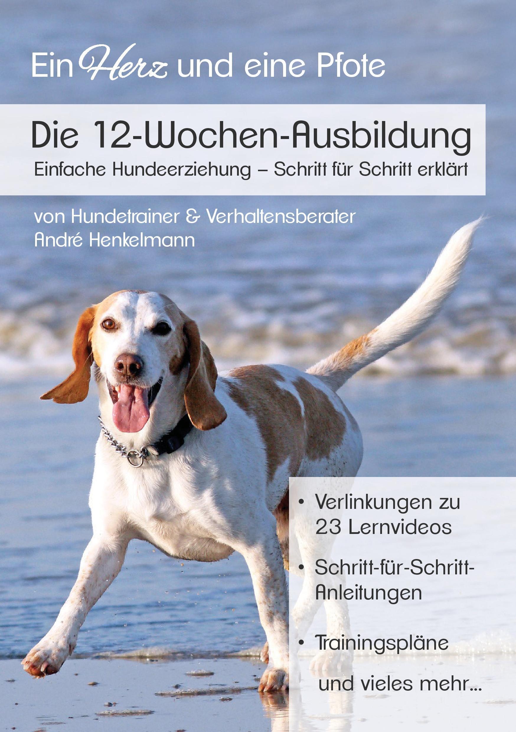 Die 12-Wochen-Ausbildung