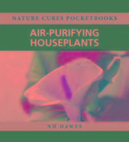 Air-Purifying Houseplants