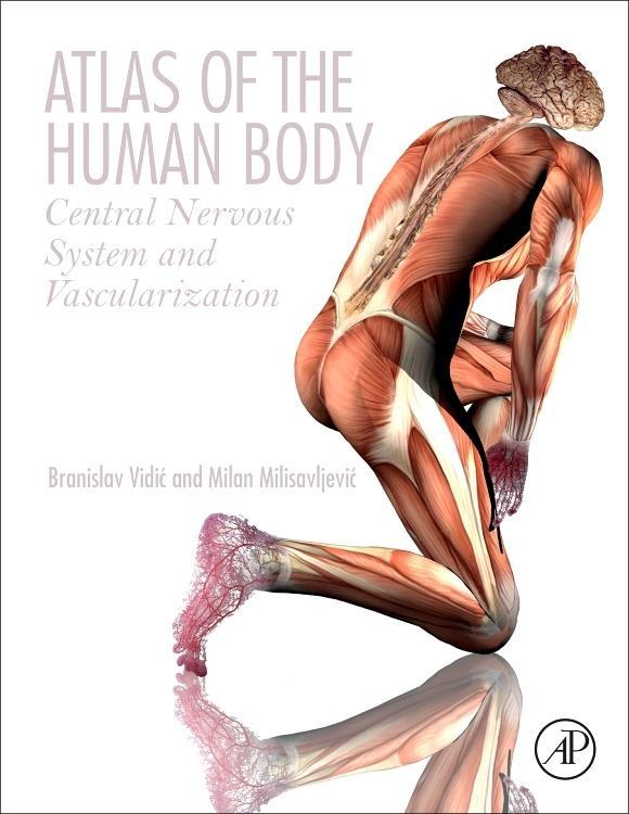 Atlas of the Human Body