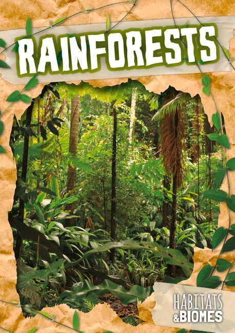 Rainforests