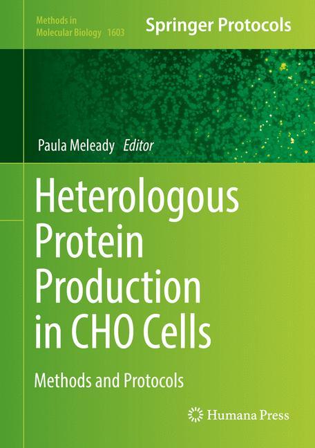 Heterologous Protein Production in CHO Cells