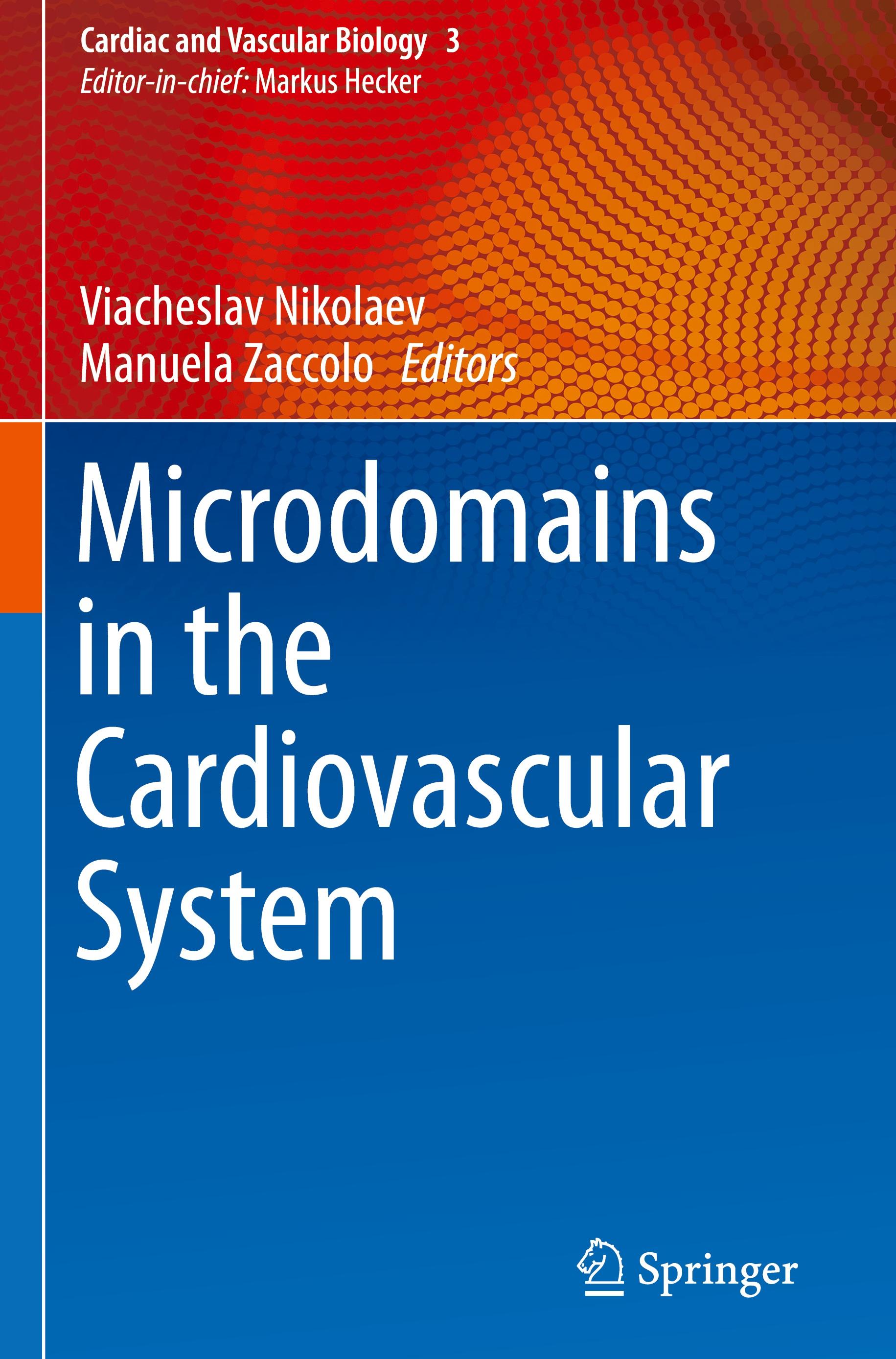 Microdomains in the Cardiovascular System