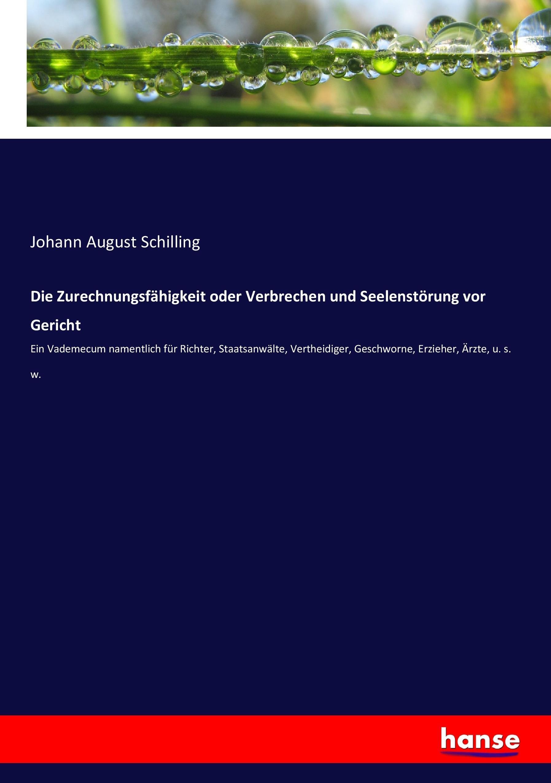 Die Zurechnungsfähigkeit oder Verbrechen und Seelenstörung vor Gericht