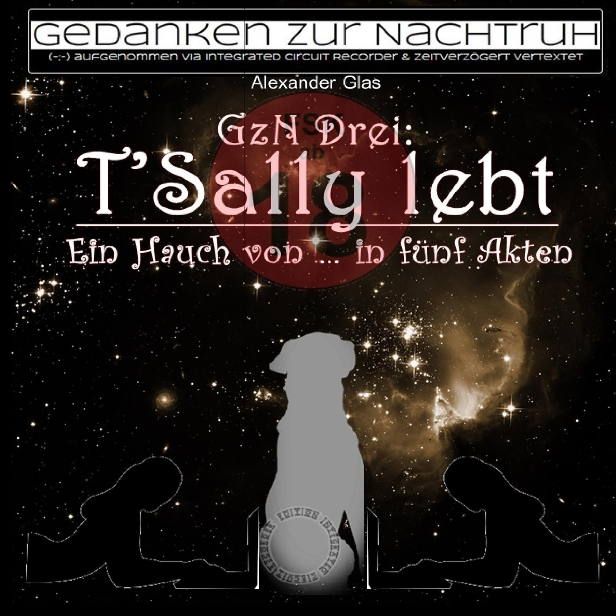 GzN Drei:  T'Sally lebt