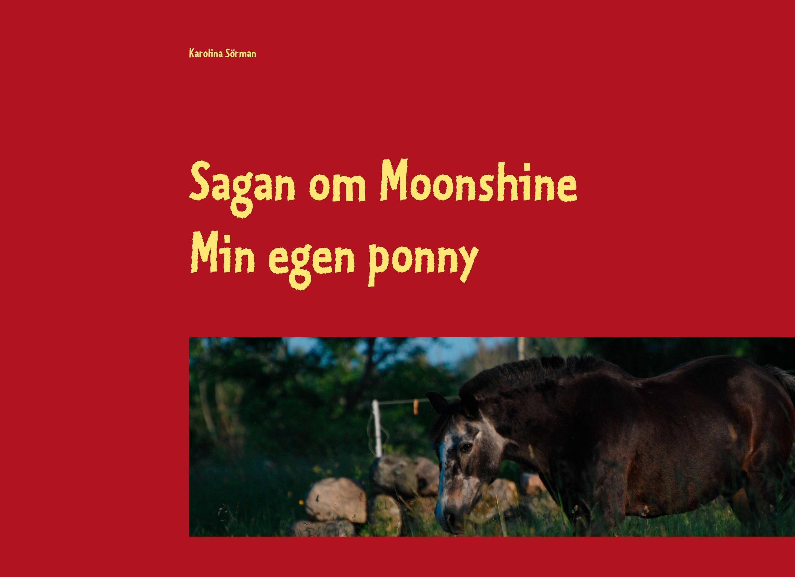 Sagan om Moonshine