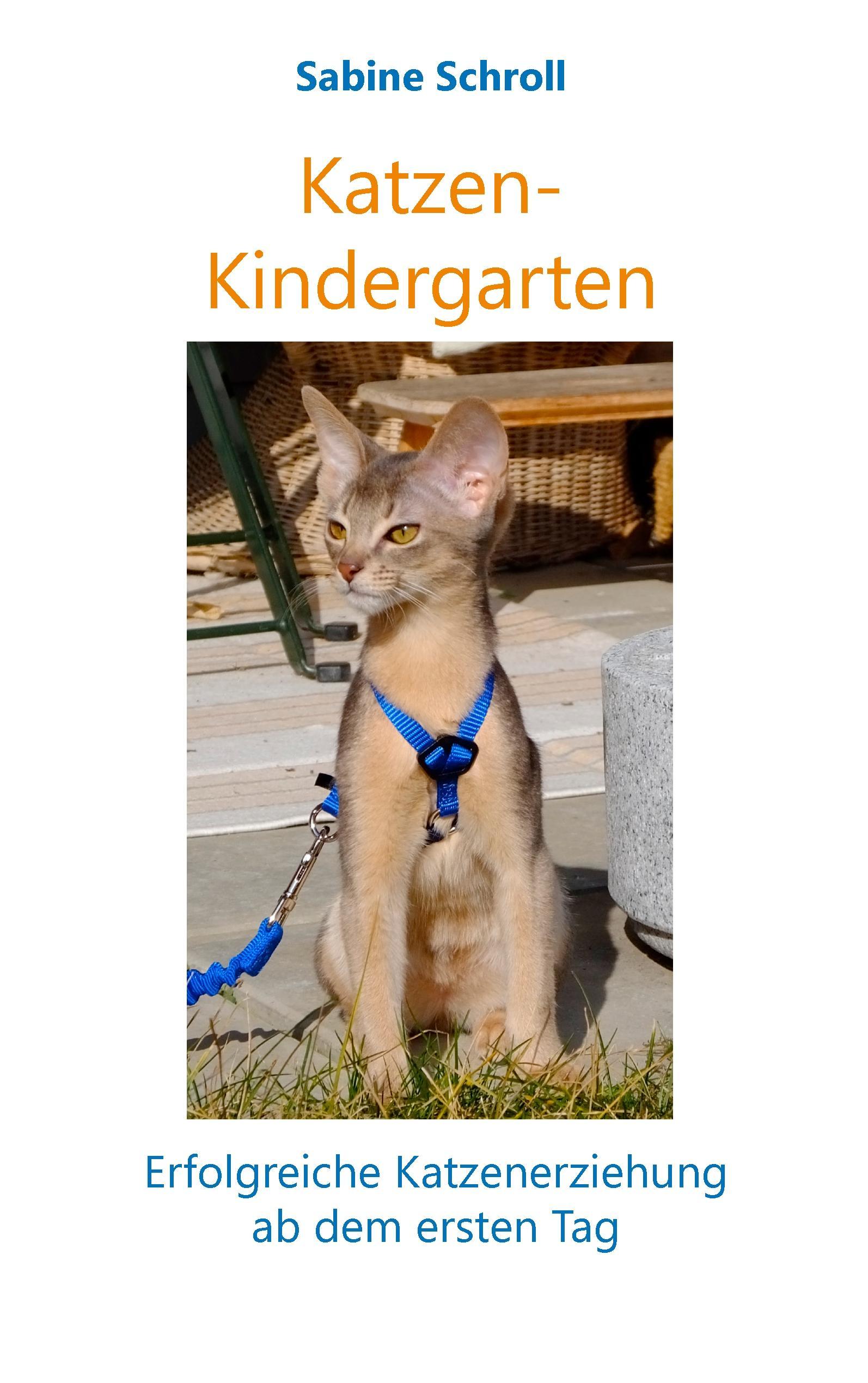 Katzen-Kindergarten