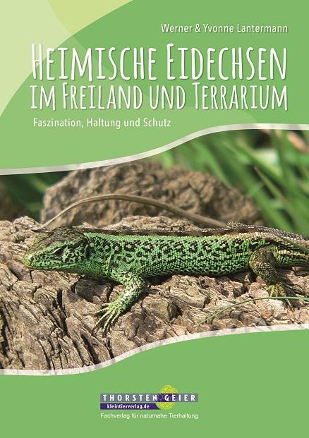 Heimische Eidechsen im Freiland und Terrarium