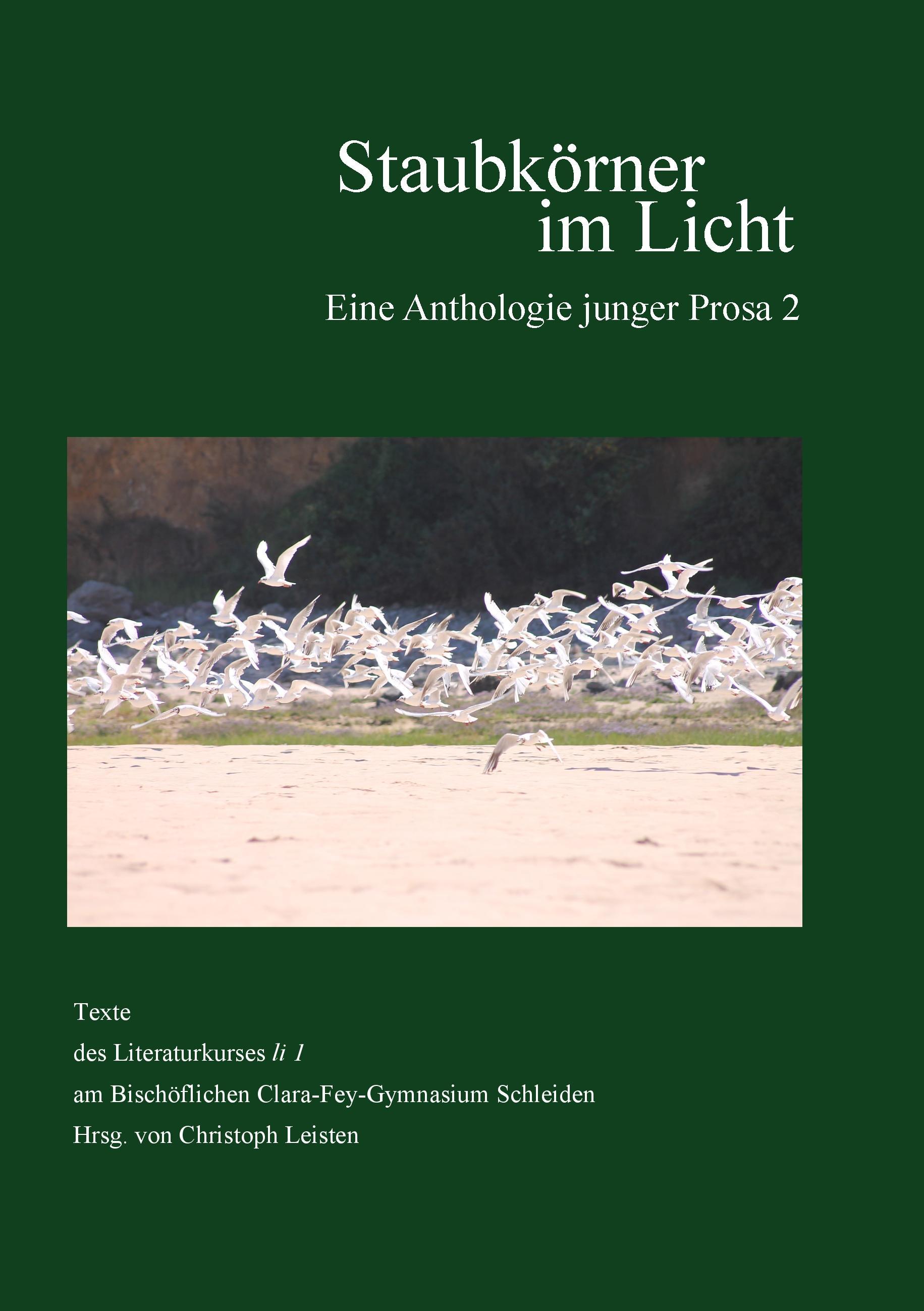 Staubkörner im Licht