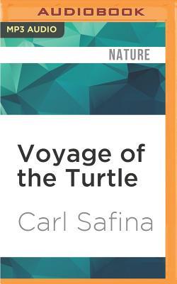 Voyage of the Turtle