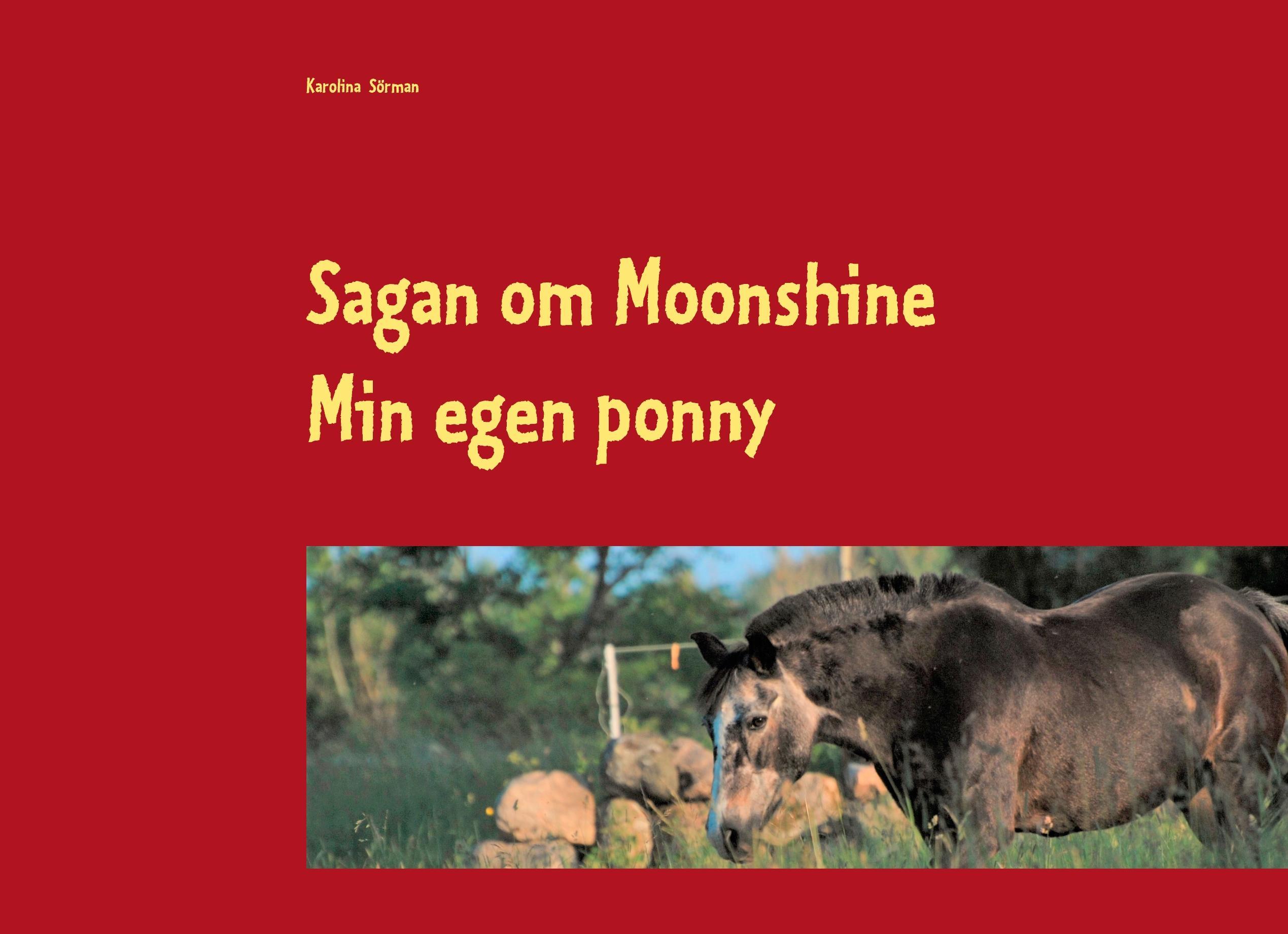 Sagan om Moonshine