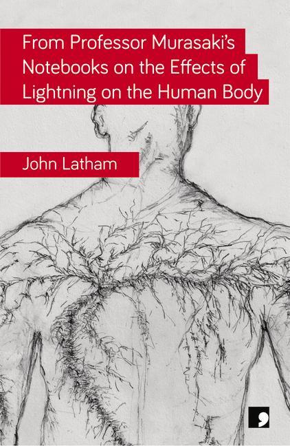 From Professor Murasaki's Notebooks on the Effects of Lightning on the Human Body