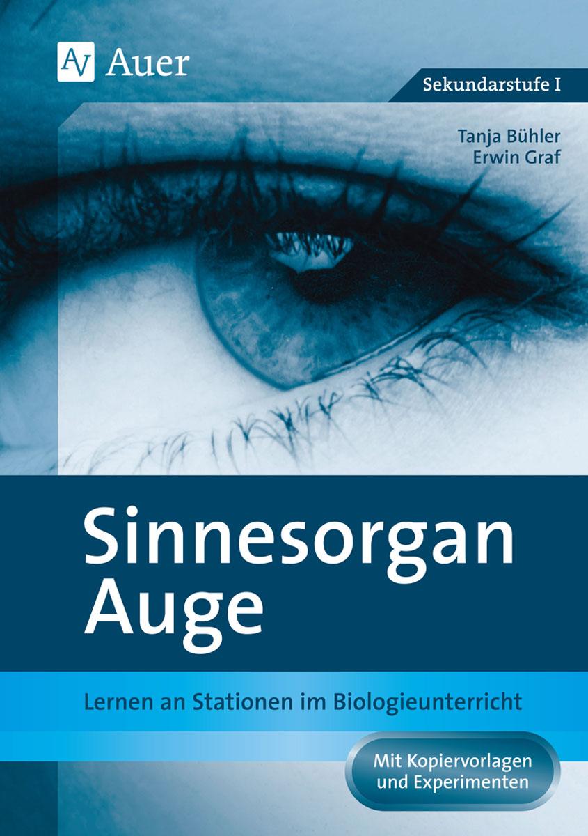 Sinnesorgan Auge