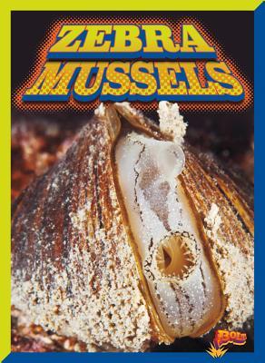 Zebra Mussels