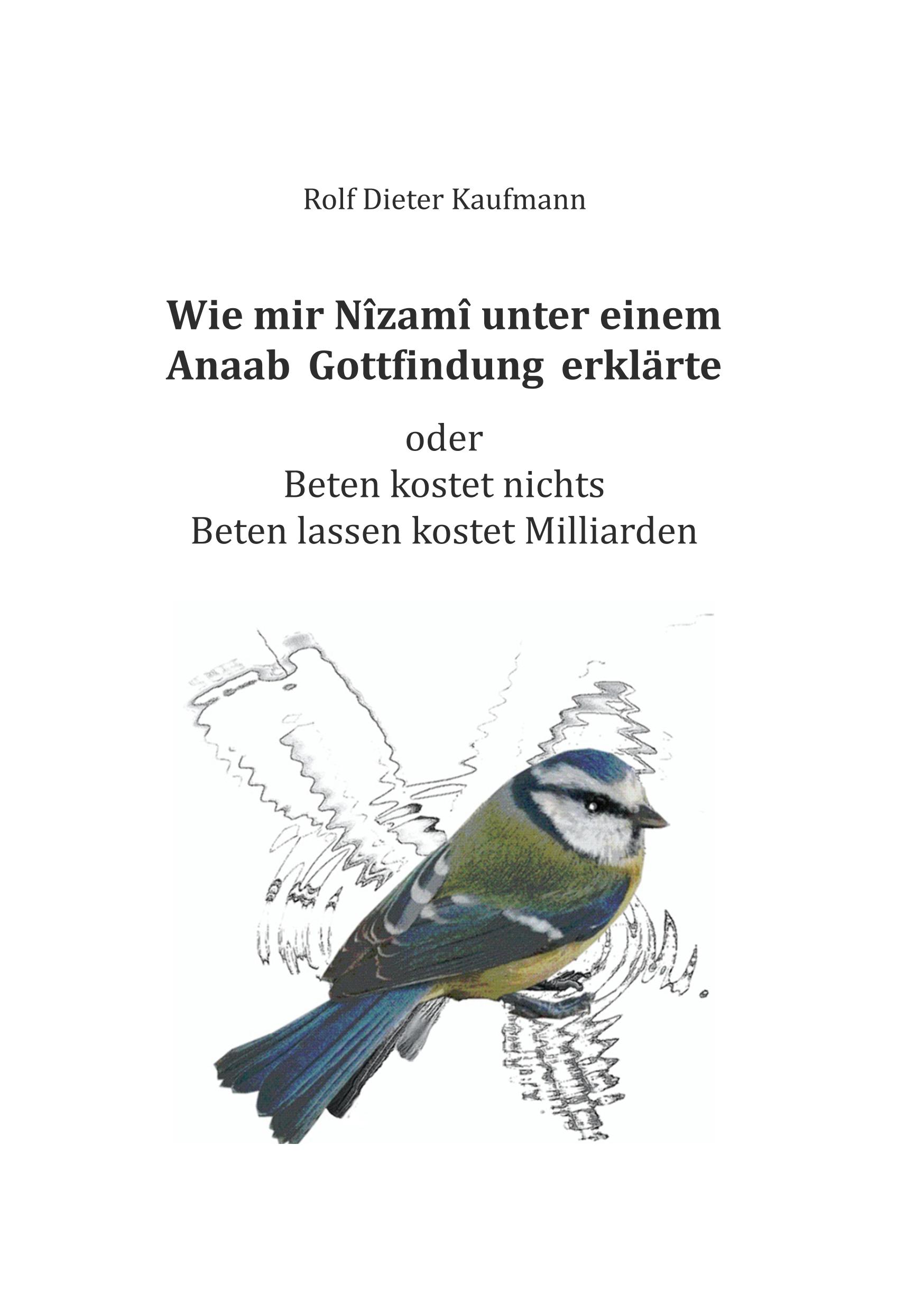 Wie mir Nîzamî unter einem Anaab Gottfindung erklärte