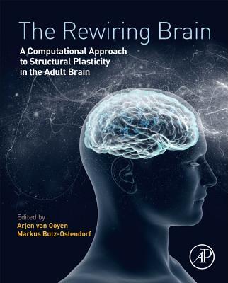 The Rewiring Brain