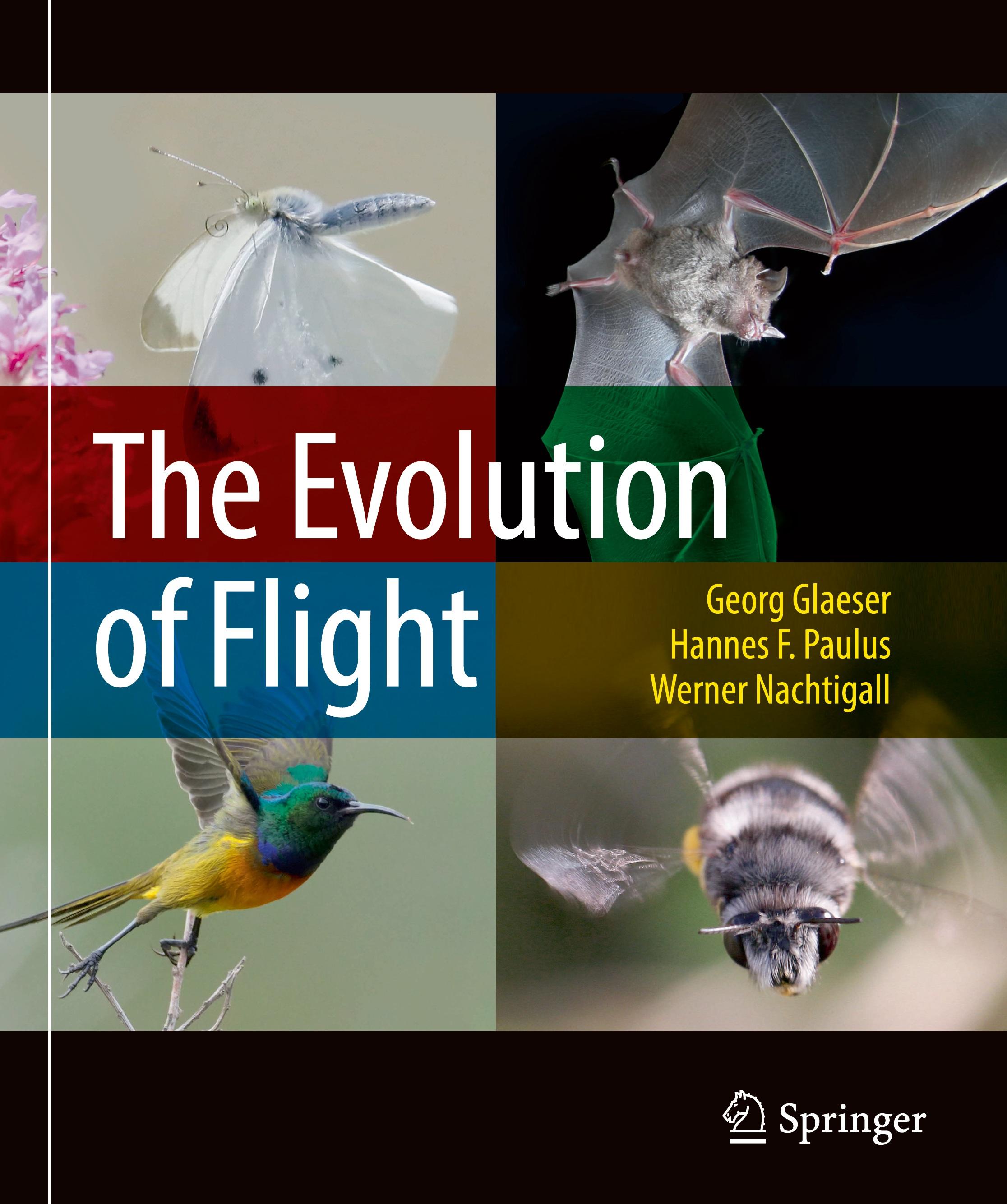 The Evolution of Flight