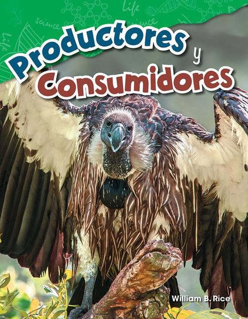 Productores Y Consumidores