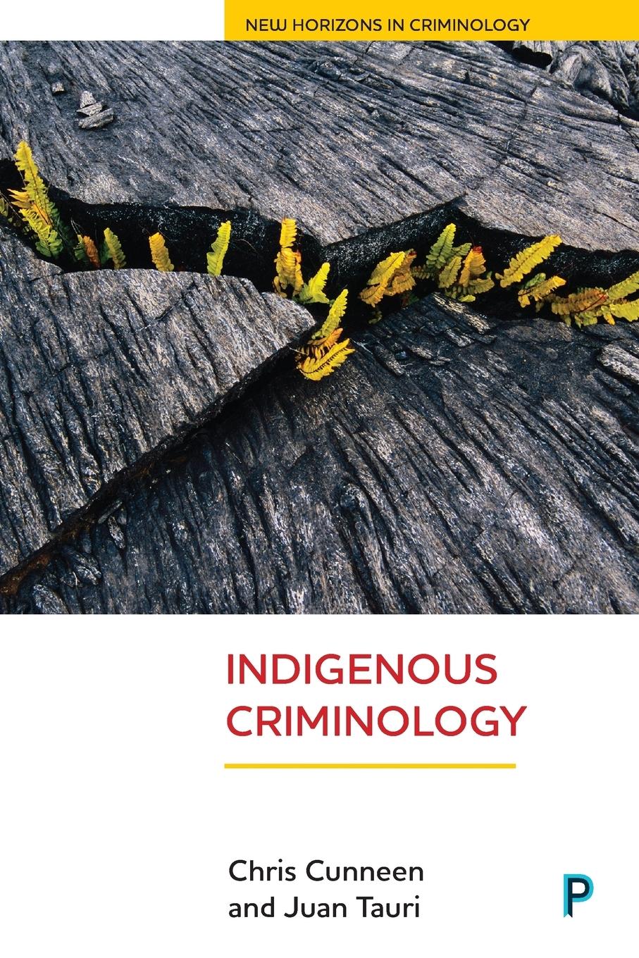 Indigenous criminology