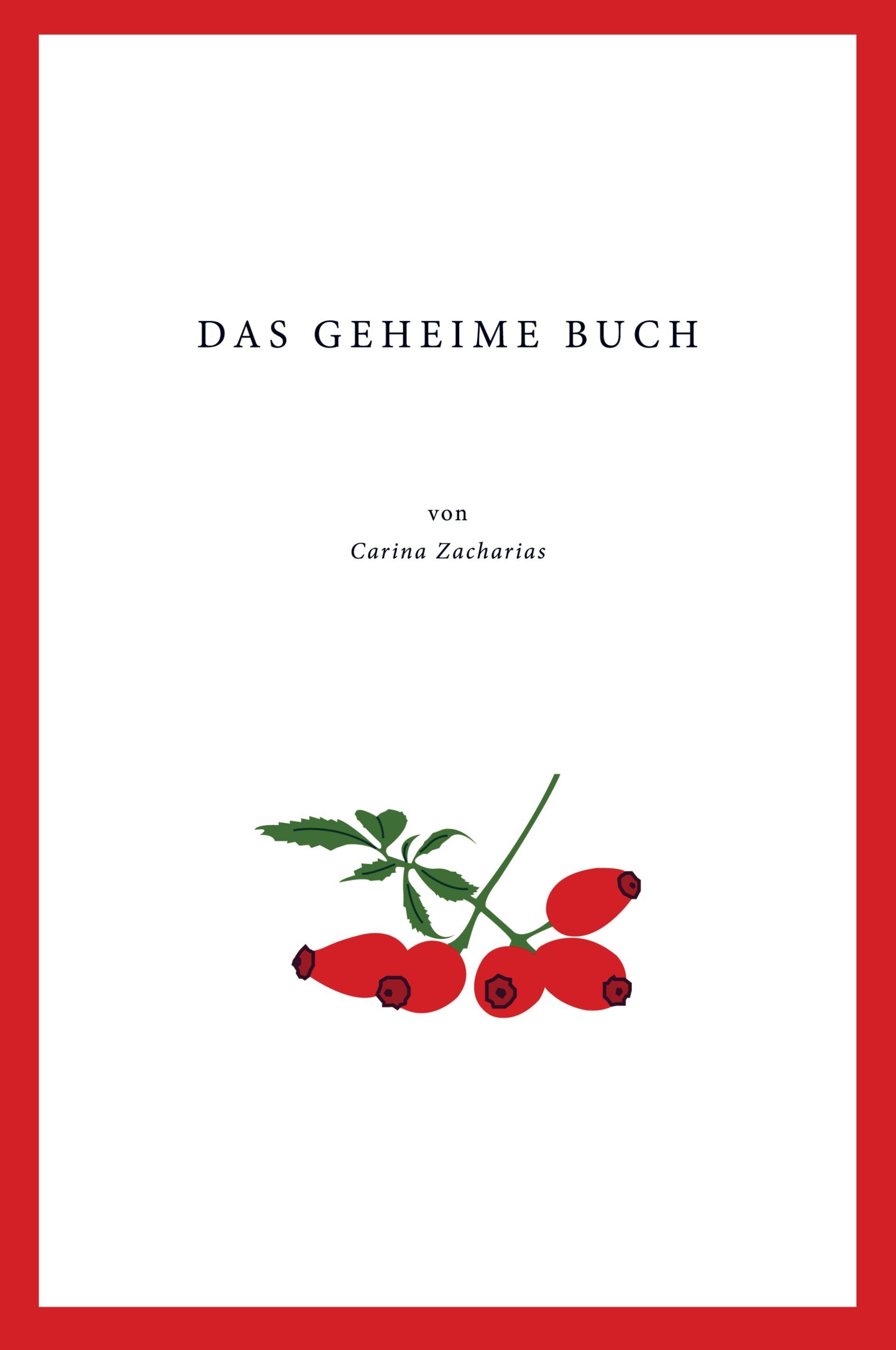 Das geheime Buch