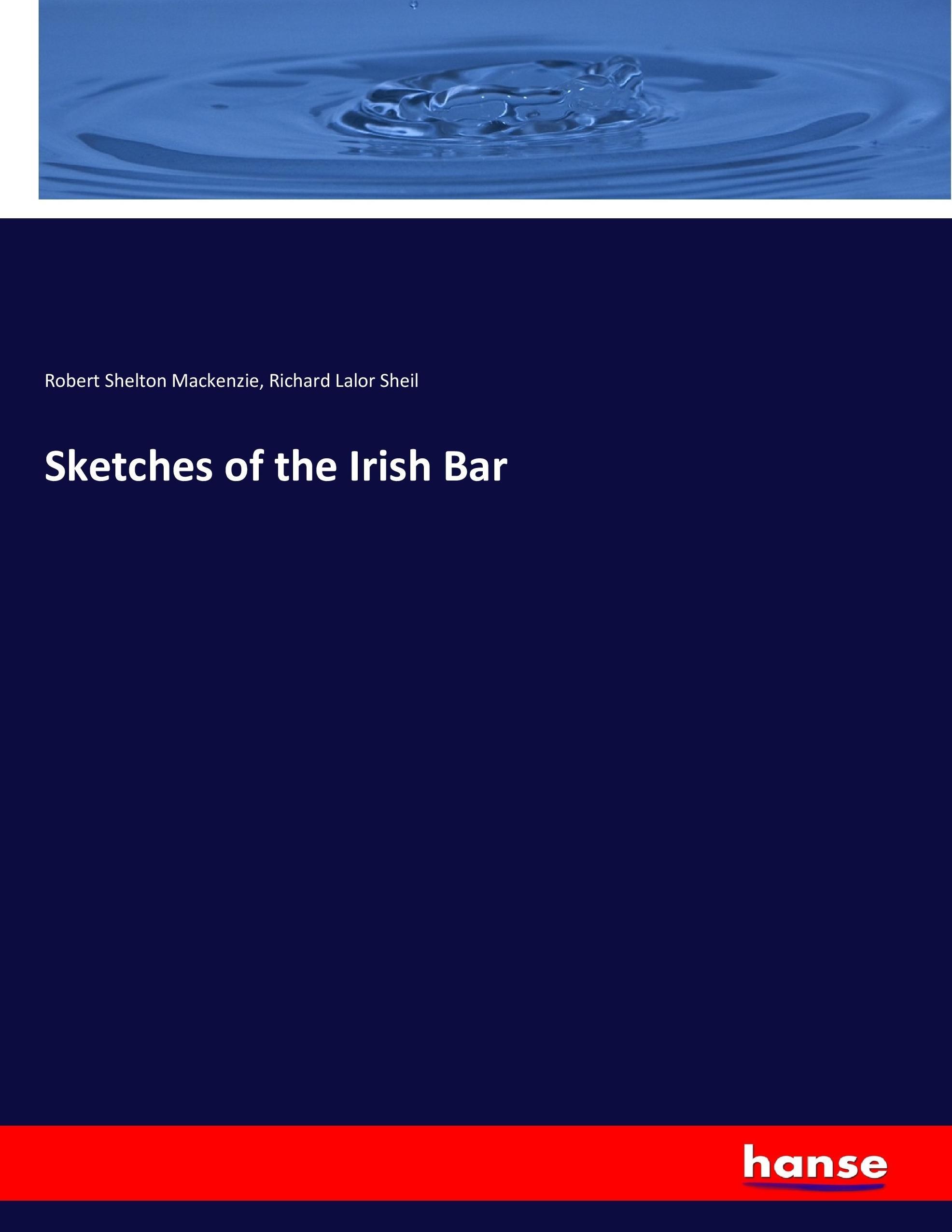 Sketches of the Irish Bar