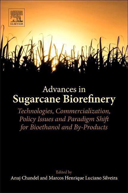 Advances in Sugarcane Biorefinery