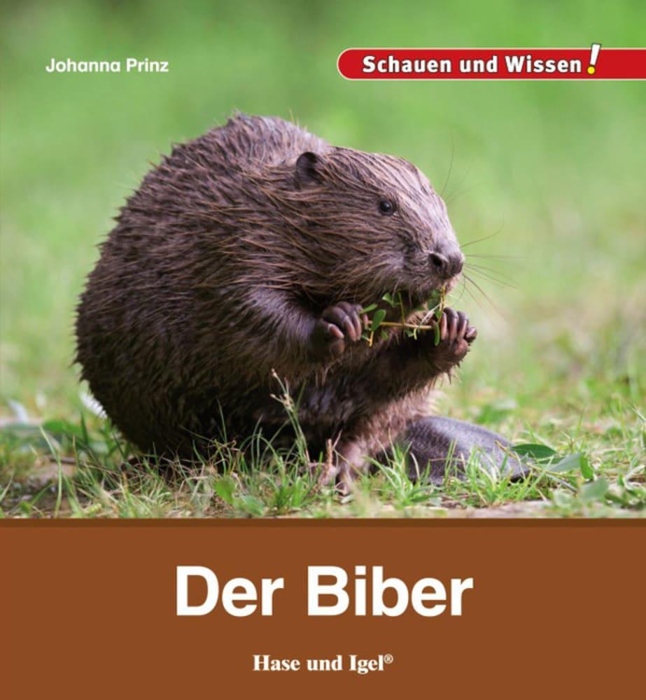 Der Biber